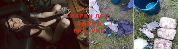 каннабис Алексеевка