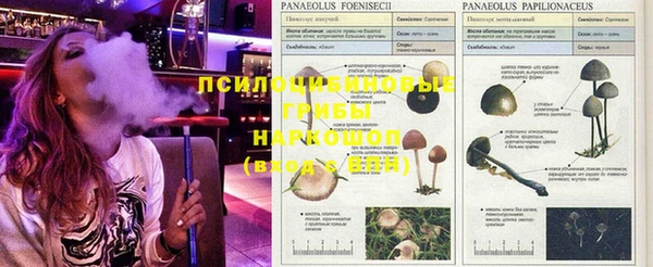 mix Абинск