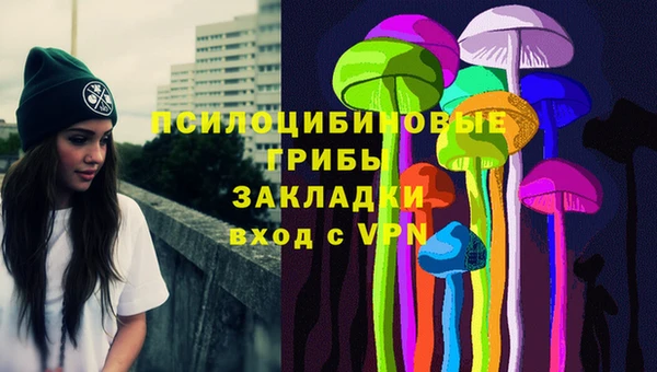 стафф Абаза